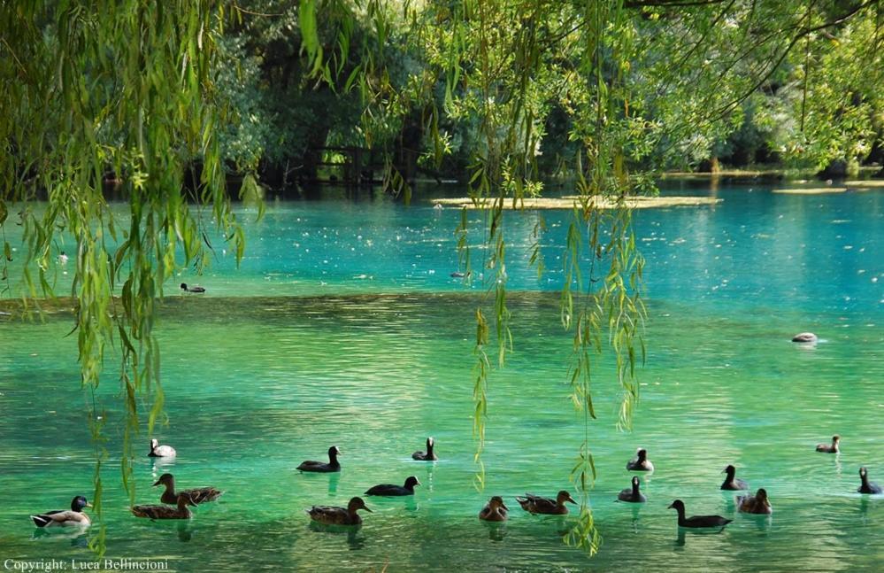 Casa Rosamari - Su Lago Di Posta Fibreno, Appartamento Con Camino Exterior photo